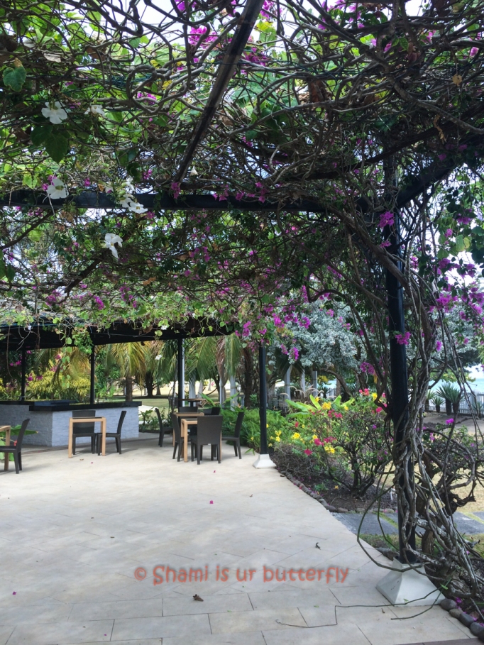 The vineyard porch at Radisson Grenada Beach Resort