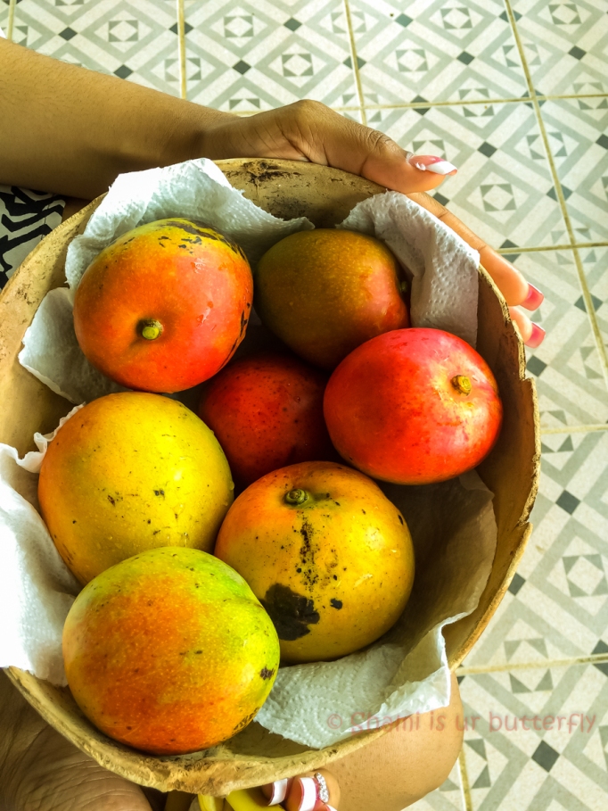 Grenadian Mangoes