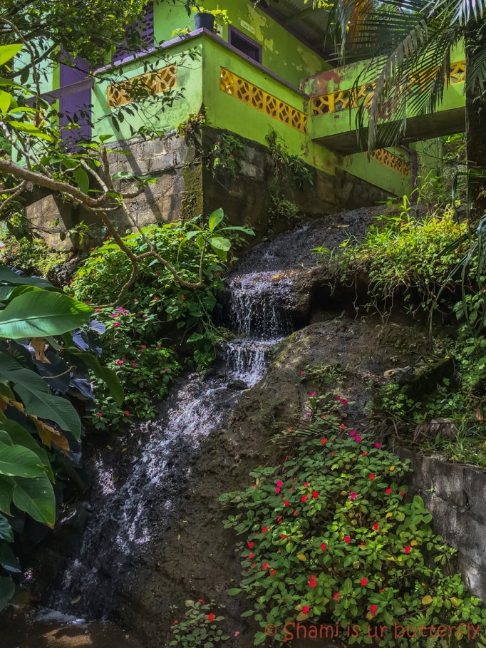 My Grenada Trip 2015 - Concord Waterfall (104)