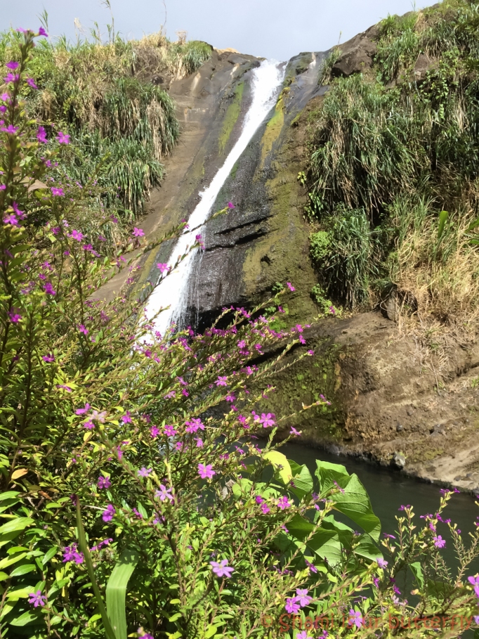 My Grenada Trip 2015 - Concord Waterfall (108)