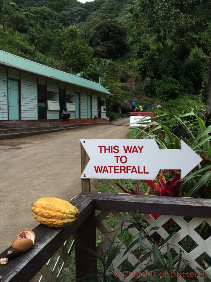 My Grenada Trip 2015 - Concord Waterfall (114)