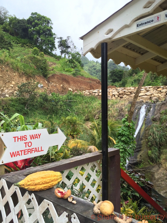 My Grenada Trip 2015 - Concord Waterfall (116)
