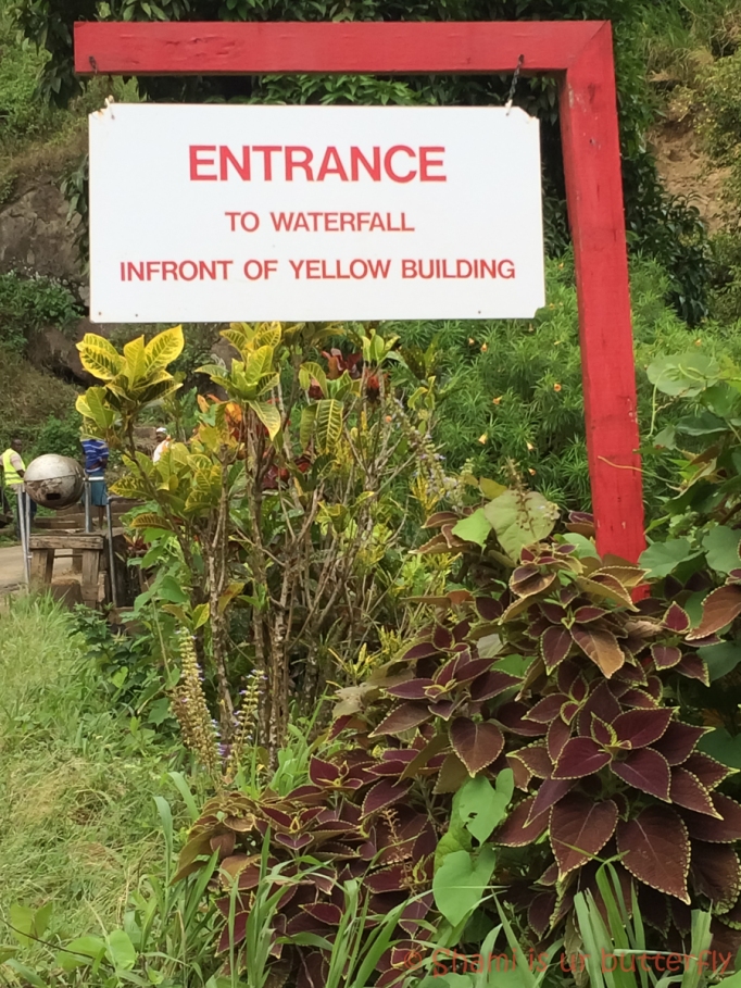 My Grenada Trip 2015 - Concord Waterfall (119)