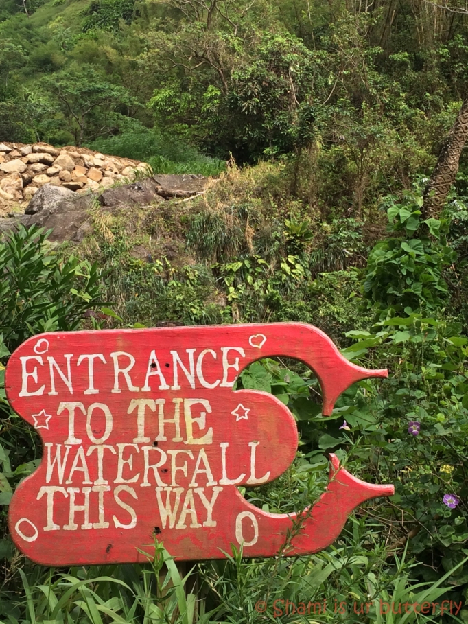 My Grenada Trip 2015 - Concord Waterfall (121)