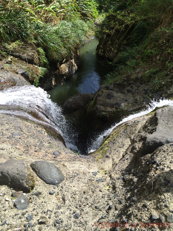 My Grenada Trip 2015 - Concord Waterfall (43)