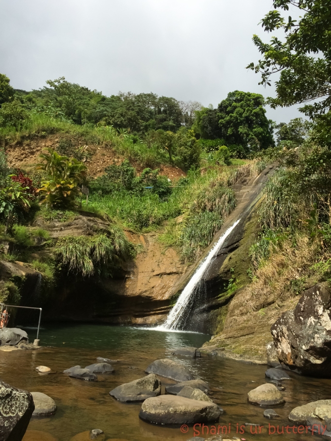 My Grenada Trip 2015 - Concord Waterfall (46)