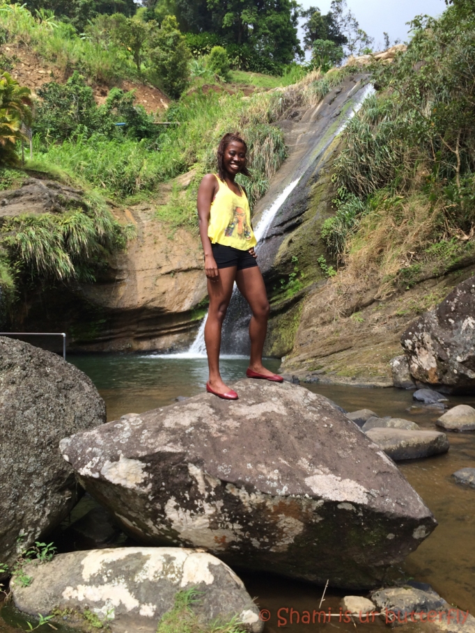 My Grenada Trip 2015 - Concord Waterfall (50)