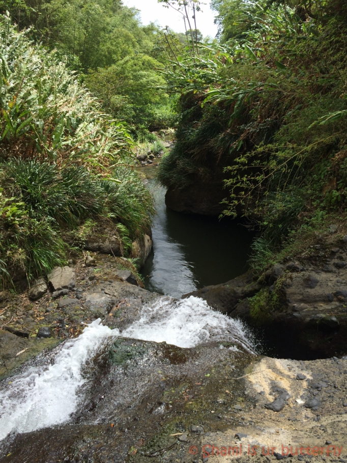My Grenada Trip 2015 - Concord Waterfall (78)