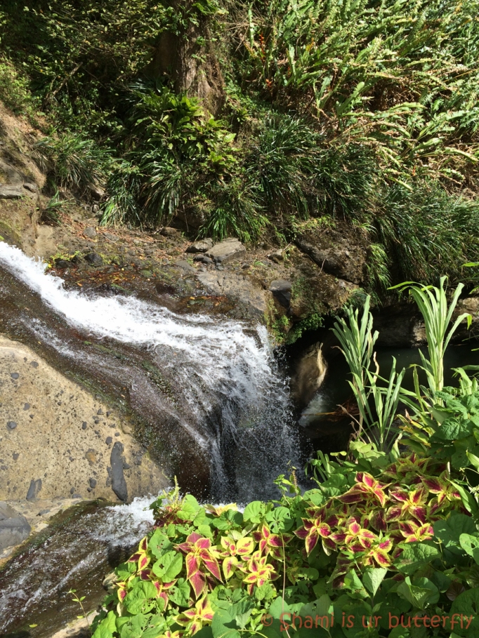 My Grenada Trip 2015 - Concord Waterfall (97)
