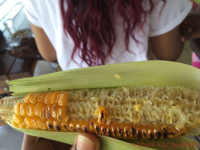 Satisfaction! I'm officially a Roasted Corn fan.