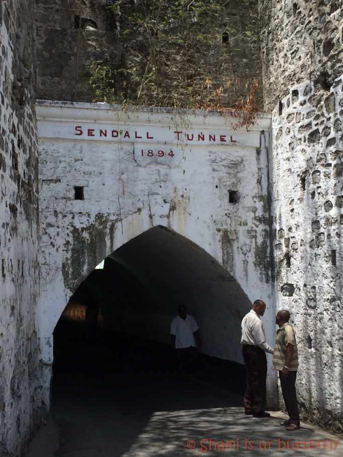 My Grenada Trip 2015 - Downtown St. George's (63)