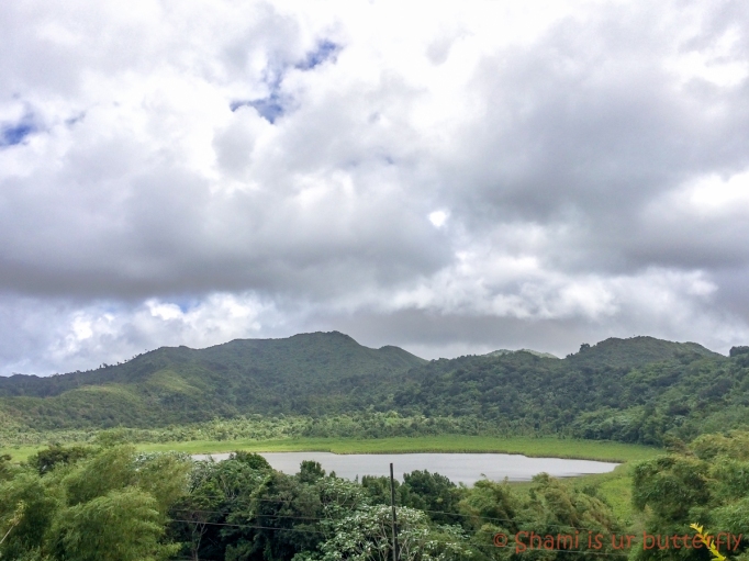 My Grenada Trip 2015 - Grand Etang Forest Reserve (12)