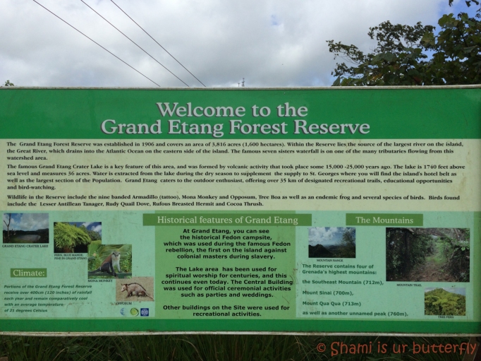 Grand Etang Forest Reserve