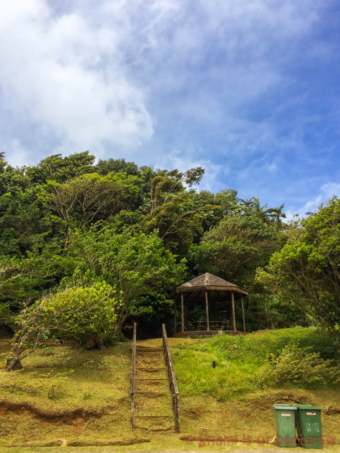 My Grenada Trip 2015 - Grand Etang Forest Reserve (32)