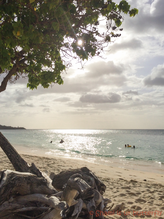 My Grenada Trip 2015 - Grand Anse Beach (35)